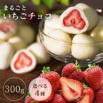 チョコレート バレンタイン 2025 まるごといちごチョコ お菓子 ホワイトチョコ 300g いちごチョコ 苺チョコ フリーズドライ スイーツ 送料無料  [K]