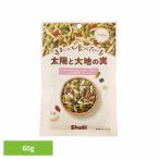 まいにち食べたい 太陽と大地の実
