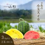 【予約開始 7月中旬頃順次発送予定】スイカ 小玉 愛娘さくら ピノガール 美黄姫 山形県産 村山 2玉セット 2色セット 1玉2.5kg以上 ギフト 贈答用
