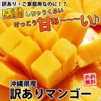 【送料無料】【指定日不可・熨斗不可】沖縄県産訳ありマンゴー1kg箱　2〜4個　　ご家庭用　ギフト対応不可　わけあり　