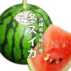 12月中旬発送 送料無料 沖縄県今帰仁産スイカ 1個入り 1個2,5kg〜3,5kg