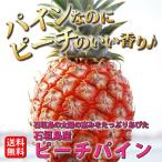 石垣島産ピーチパイン　Ｓサイズ　７００ｇ〜１ｋｇ　３個入り　大城農園　送料無料