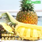 ショッピング沖縄 玉城忠男さんの完熟タダオゴールド ２玉（３．５ｋｇ） １玉１.７〜２ｋｇ 通常箱入 最高級パイン ゴールドバレル 送料無料