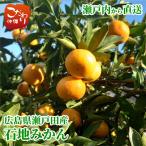 ショッピング広島 広島県瀬戸田産 石地みかん 約5kg 送料無料 有光農園 瀬戸内 広島 柑橘の里 呉市発祥 高級みかん