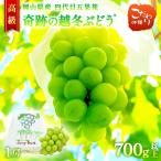奇跡の越冬ぶどう シャインマスカット 岡山県産 高級 五果苑 1房 700g以上 ぶどう 贈り物 香り おいしい 新鮮 甘い フルーツ 果物 人気 国産 大房 大粒 種なし