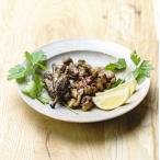 hisadaya уголь огонь .. ...HST-5( бесплатная доставка )