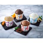 お中元  ガレープレミアムアイスクリーム１２個セット（送料無料） 熨斗 ギフト 贈答 残暑見舞 御礼