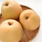  подарок по случаю конца года Tottori префектура производство . осень груша 3.5kg AF-ON3-5kg( бесплатная доставка ).. подарок .. лет . зима подарок 