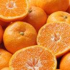  подарок по случаю конца года Wakayama префектура производство Arita мандарин 2.5kg fw-ar2-5kg( бесплатная доставка ).. подарок .. лет . зима подарок 