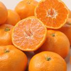  подарок по случаю конца года Ehime мандарин 2kg fw-em2kg( бесплатная доставка ).. подарок .. лет . зима подарок 