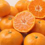  подарок по случаю конца года Ehime мандарин 3kg fw-em3kg( бесплатная доставка ).. подарок .. лет . зима подарок 