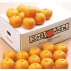  подарок по случаю конца года Shizuoka префектура производство три штук день мандарин 4kg fw-mib4k( бесплатная доставка ).. подарок .. лет . зима подарок 