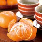  подарок по случаю конца года Yamaguchi Ooshima мандарин ( превосходящий ) OSM50( бесплатная доставка ).. подарок .. лет . зима подарок 