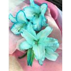 ホワイトデー　母の日　カサブランカ　ブルーの花　クリスマス　送別　青の花　ブルー　水色　花束（M)　誕生日　祝　開店