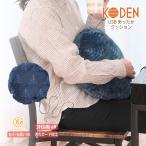  теплый товары USB hot подушка один человек для уличный скорость .40×40cm темно-синий CUC401G-NR широкий электро- (KODEN)