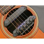 Skysonic R2 Resonance Pickup アコースティックギター用ピックアップシステム(正規品３年保証)