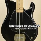 Sterling by MUSICMAN S.U.B Series RAY5 BLK/M ( Ernie Ball ремешок сервис & Revue дополнительный подарок ) электрический бас 5 струна 