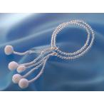 水晶尺念珠数珠創価学会仏壇創価学会...