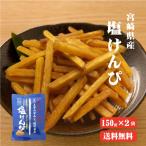 塩けんぴ(150g×2袋) 送料無料 TVで紹介！ マツコの知らない世界芋けんぴの世界/  高知 ほんのり塩あじ さつまいも お菓子 南国製菓 水車亭 お土産