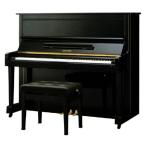 [ в аренду ]tia Paso n126-CE( б/у повторный регулировка товар / как новый )