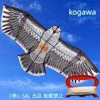 кайт .. кайт Eagle кайт ястреб мельчайший способ .... кайт легкий кайт ястреб птица .. кайт птица .., сельское хозяйство произведение предмет защита сопутствующие товары двор. оборудование орнамент акционерное общество S&L.... удаление - защита от птиц защита от животных меры для 1.5m
