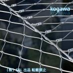  сетка-рабица забор 304 нержавеющая сталь сталь трос сеть, сетка дыра 10 см метров кабель сетка, ударопрочный . защита сетка, балкон оборудование орнамент для гибкий . цинк me