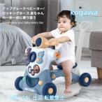 ショッピング教育玩具 おもちゃ 知育玩具 誕生日 プレゼント ランキング 一歳 二歳 赤ちゃん 株式会社S＆L補助車 歩きを習う 室内 運動 屋外 教育玩具