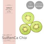 フルーツチップ 押し野菜 ドライ パーツ 素材 ハーバリウム SRCC-KI スイレンカチップ キウイ