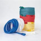 ショッピングエバニュー エバニュー EVERNEW 5色綱引きロープ 送料無料 EKA426