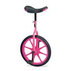 エバニュー EVERNEW 一輪車 ノーパンク 20インチ 保育園 幼稚園 学校 体育