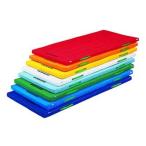エバニュー EVERNEW 体操用具 防ダニカラーペットマットすべり止付120cm×300cm×5c ...