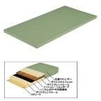 エバニュー EVERNEW 柔道用畳 ソフト 関西 91×182×6cm ワサビグリーン 送料無料 EKR002-527-s