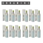  soda Mini 2 SODA MINI замена баллон сжатого газа 12 шт. комплект для бытового использования газированная вода производитель уголь кислота газ баллон сжатого газа уголь кислота бутылка бесплатная доставка .... баллон сжатого газа возврат для оплата при получении квитанция имеется SM3002×12