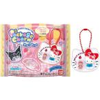 BOX販売 サンリオキャラクターズ パッケージチャーム＆チョコボーロ 10個入り BOX サンリオ パッケージチャーム
