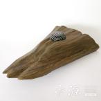 ������ �����ϧ ��ʪ �ḻ ���� ���� ���� ���� ����Ź