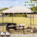 ショッピングタープテント スタンダードタープ タープ ワンタッチ テント ワンタッチテント タープテント 250 大型 ベージュ UVカット 耐水 日よけ コンパクト 簡単設営 コーナン