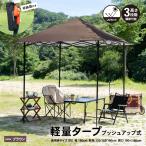 コーナン オリジナル SOUTHERNPORT 軽量タープ　プッシュアップ式　ブラウン