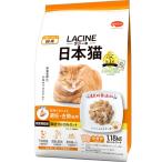 猫用ドライフード