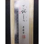 sa. только 1 шт type ... обычная цена 2,100+ налог ..3 скидка!!