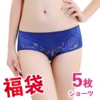 ショーツ福袋 2025 ショーツセットショーツレディース 5枚セット スタンダード ショーツ 下着 パンツ 福袋 ショーツ 女性用下着 レディースショーツ T-0013