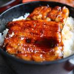 鰻の蒲焼き 100g 2袋 国産 うなぎ 蒲焼 丑の日 父の日 お中元 ギフト みやさかや