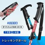 登山用ストック 山登り杖 山登り ス