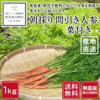 сейчас день. . сделка! нет пестициды! Wakayama производство утро .. промежуток скидка морковь ( лист имеется морковь )1kg [ бесплатная доставка ]# установленная дата указание не возможно * отправка на следующий день квитанция ограничение * на следующий день доставка часовой пояс . обратите внимание #
