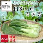 »ºÃÏľÁ÷¡ª Ï²λ³»º ÀĹ¼ºÚ¡Ê¥Á¥ó¥²¥óºÚ¡Ë 300g
