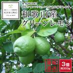 希少国産！ 和歌山産 グリーンレモン（青レモン） 3個