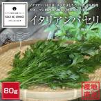 和歌山産 イタリアンパセリ 80g ※入荷不定期