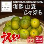 産地直送！和歌山産訳あり青いじゃば...