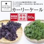 和歌山産 無農薬 カーリーケール 50g ■発送翌日受取限定・お届け時間帯にご注意ください■