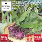 和歌山産 無農薬 朝採り コールラビ 500g ■翌日受取限定 ※時間指定にご注意ください■