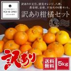  сейчас день. . сделка! есть перевод .. комплект 6 вид ( помело, Kiyoshi видеть orange,.., желтый золотой ., золотой ., не . огонь ) 5kg [ бесплатная доставка * Hokkaido, Okinawa. доставка отдельно .500 иен ]